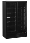 Glastürgefrierschrank - Atom Maxi F2DBB