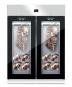 Everlasting Fleischreifeschrank  AC9011