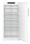 FFFsg 5501-40 Variante 740 Tiefkühlschrank Liebherr