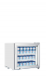 Tischgefrierschrank - UF50G
