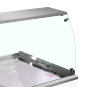 Speiseeisvitrine - IDA200-W1+