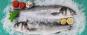 Brema Eisflockenbereiter GB 902 A HC DP